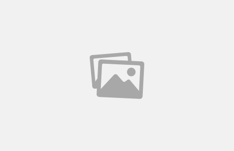 Test for the second article